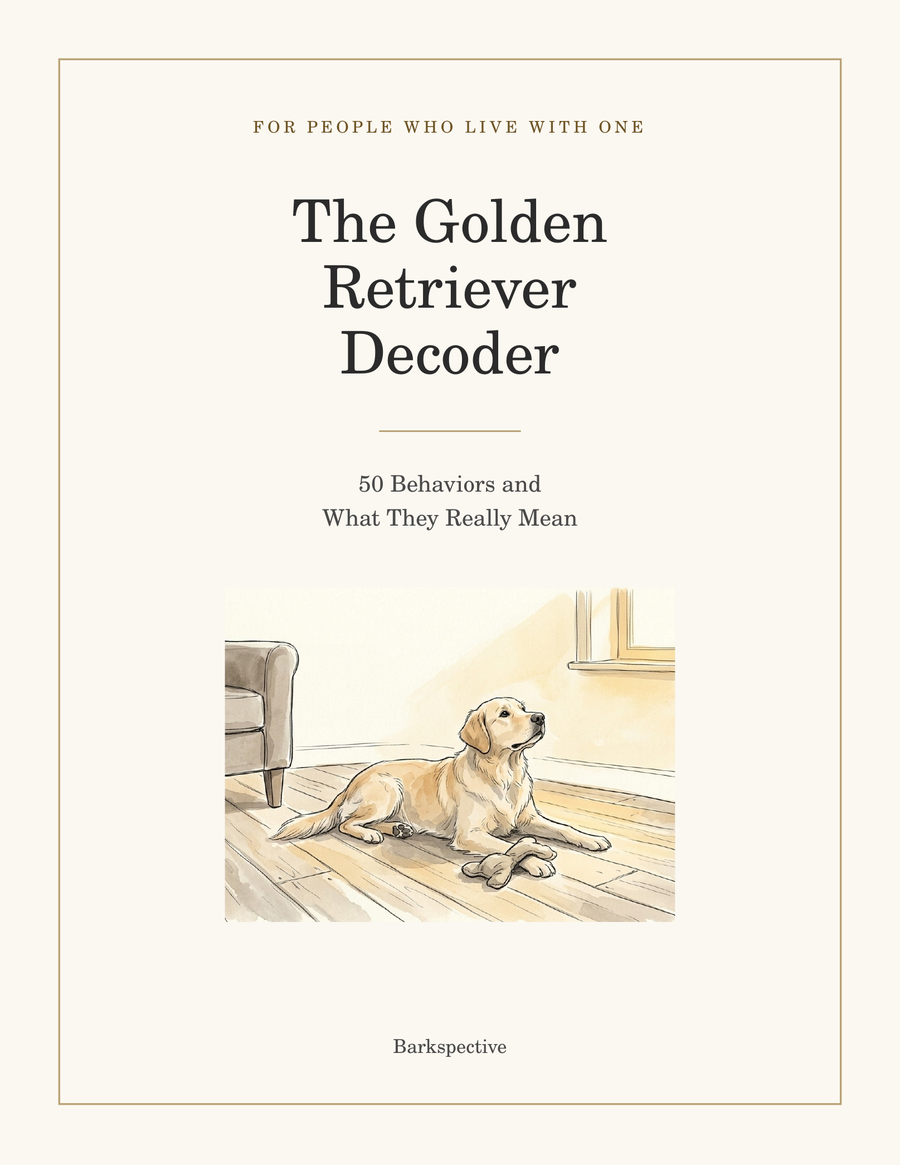 Cover of The Golden Retriever Decoder