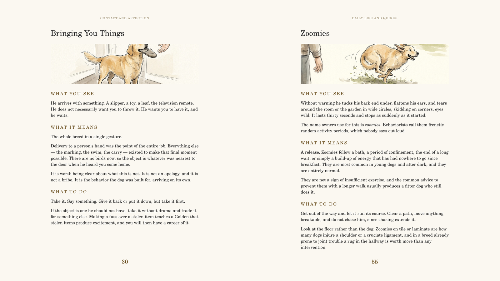 Two sample pages: Bringing You Things, and Zoomies
