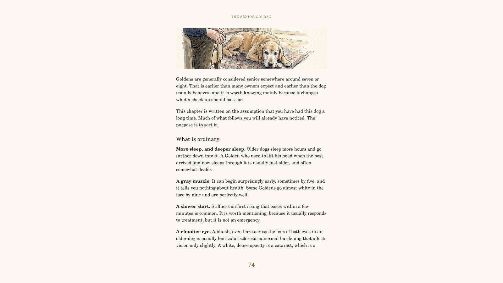The chapter opening: The Senior Golden