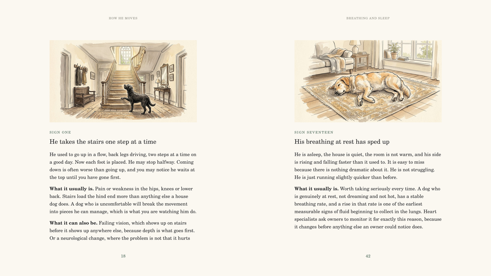 Two sample pages: He takes the stairs one step at a time, and His breathing at rest has sped up